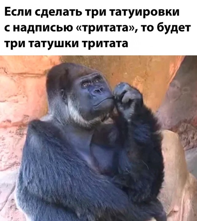 Весёлый полтишок 22.10.23