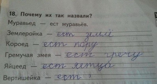 Нуштош 02.02.2024