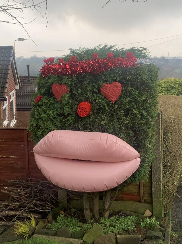 Подборка интересных и веселых картинок 14.02.24