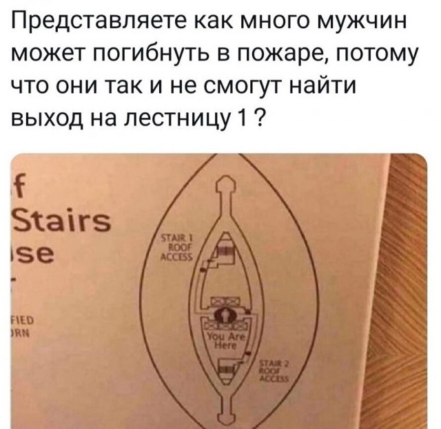 Так себе картинки 02.09.24