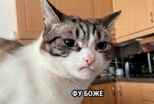 Свинство обыкновенное