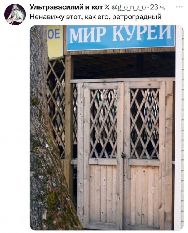 Так себе картинки 30.09.24