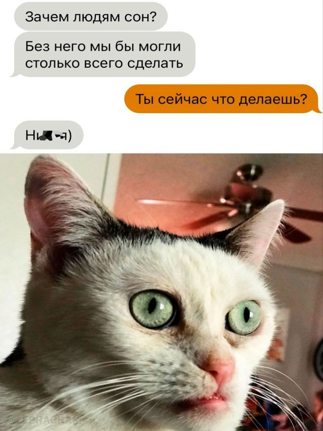 Мои избранные картинки, часть 3