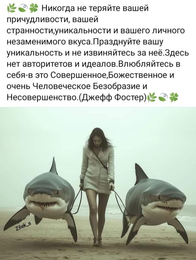 Прикольные и просто красивые картинки 10.12.2024