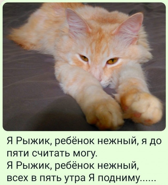 Стал рабом в четвертый раз