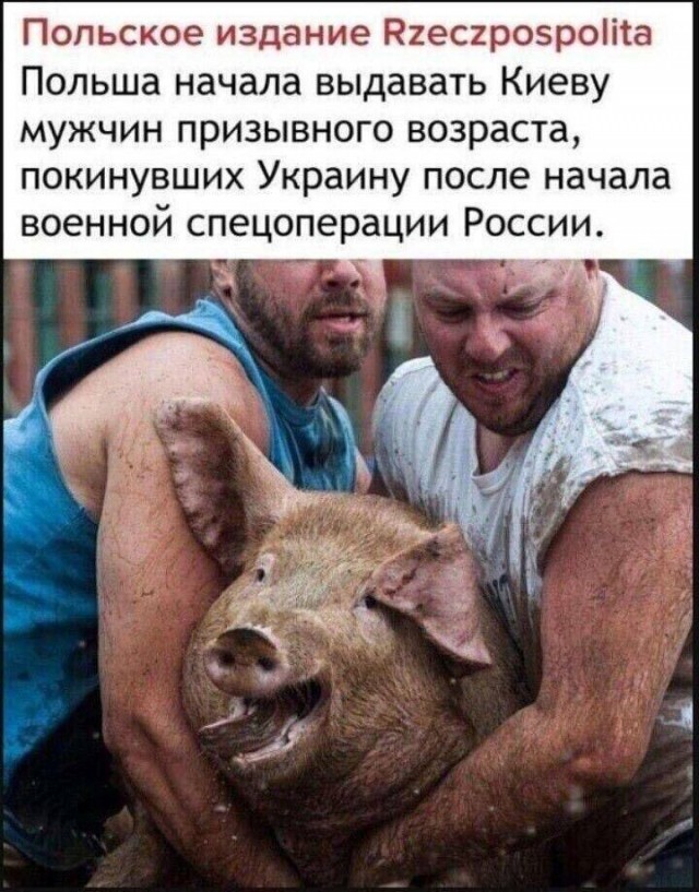 Стол им и не нужен: Так выглядела встреча Трампа с Зеленским перед церемонией прощания с папой Римским