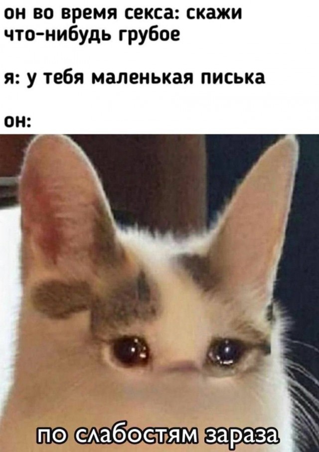 Так себе картинки 11.05.25
