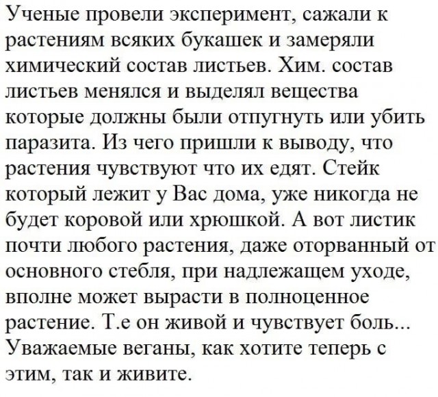 Так себе картинки 16.05.25