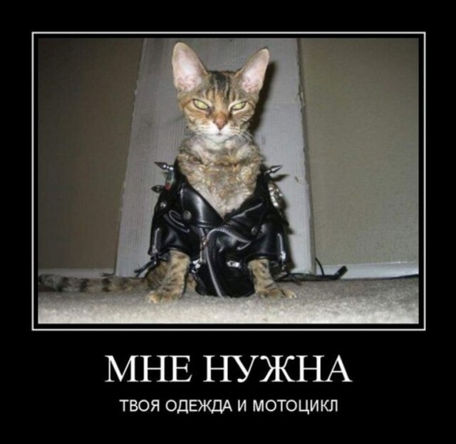 Рейдерский захват