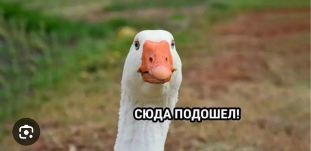 Памагите!