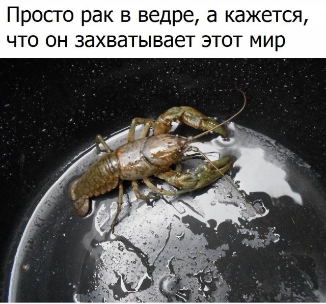 Открыл тут фотку Плутона перед сном