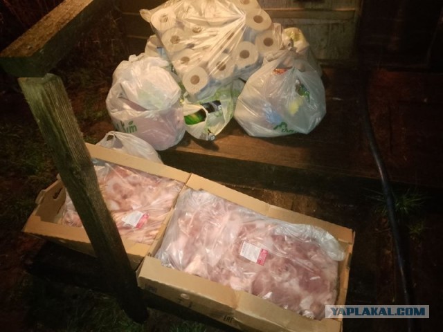 Жизнь домашнего приюта для котеек 566
