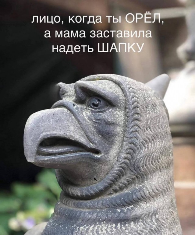 Воскресные картинки