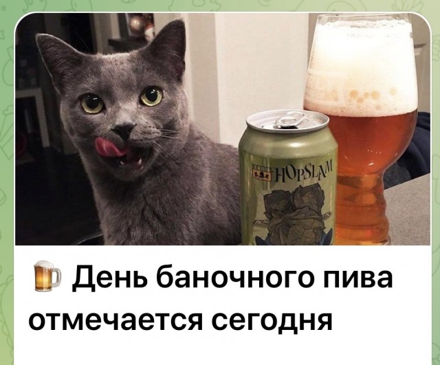 Воскресные картинки