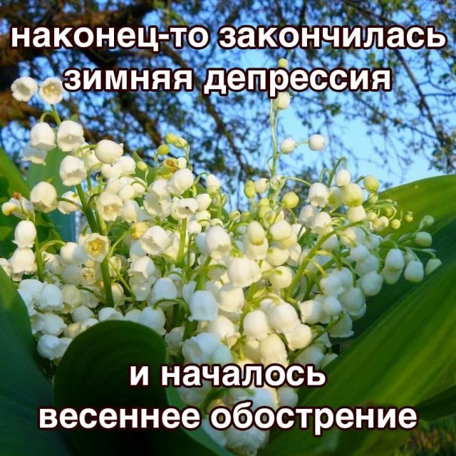 Воскресные картинки