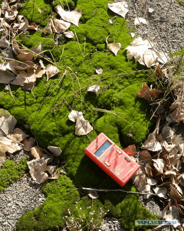 Внутри защитнго купола на Чернобыльской АЭС.