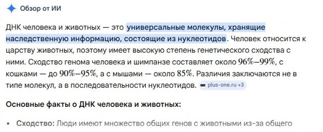 Папа может хрю)