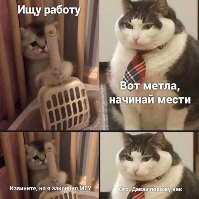 Картинки для деградации 192 (разной степени свежести)