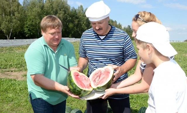 Зеленский: Украинские беспилотники могут прилететь на парад 9 мая в Москве