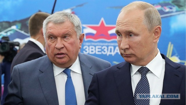 Как клещи захватили Россию за 30 лет. Индустрия зарабатывает на том, что вы боитесь выйти на природу