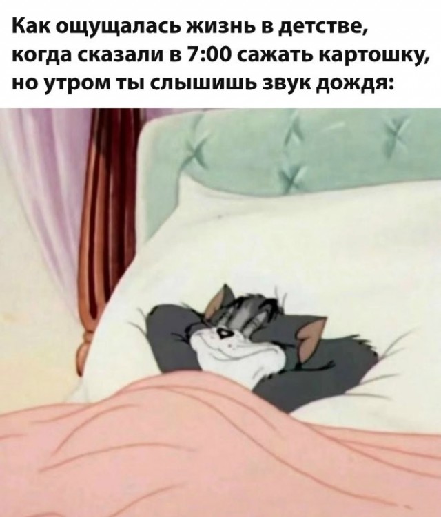 Картиночки, баянчики 14 июня