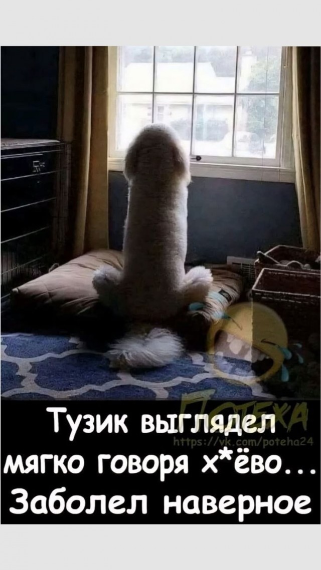 Картинки для деградации 237 (разной степени свежести)