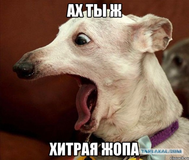 Воспитываем школьника в интернете