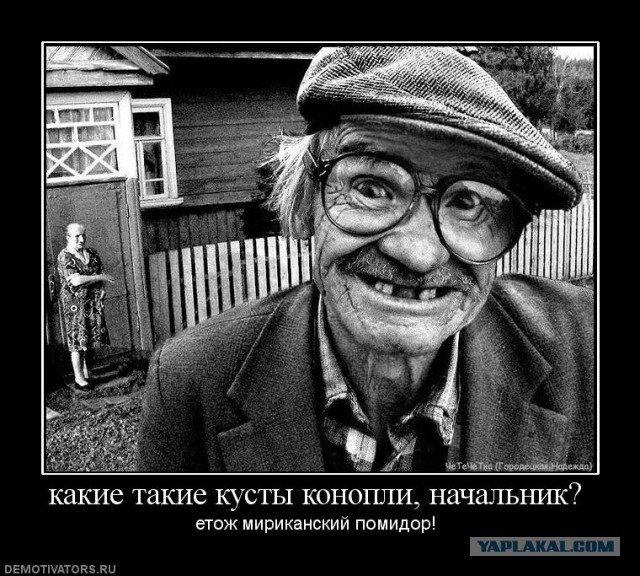 Просто дачники.