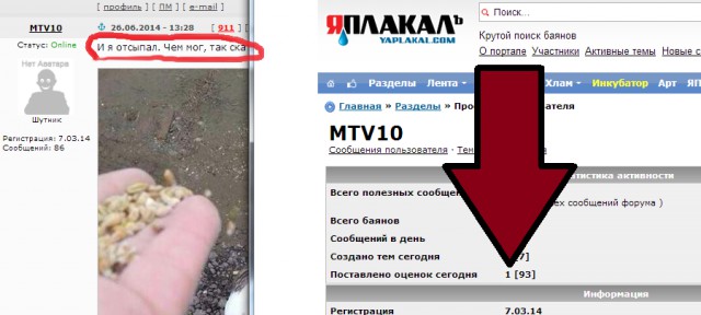 Когда вы плюсуeтe тему в платине