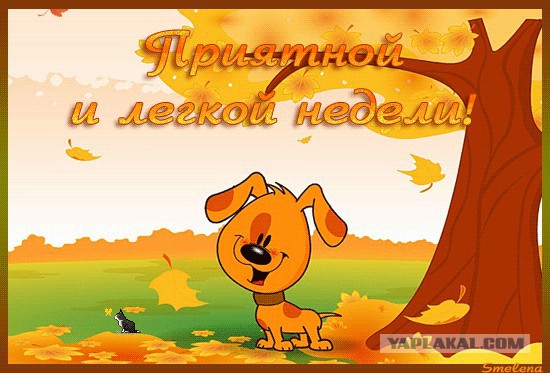 Чёрт, чёрт, чёрт!