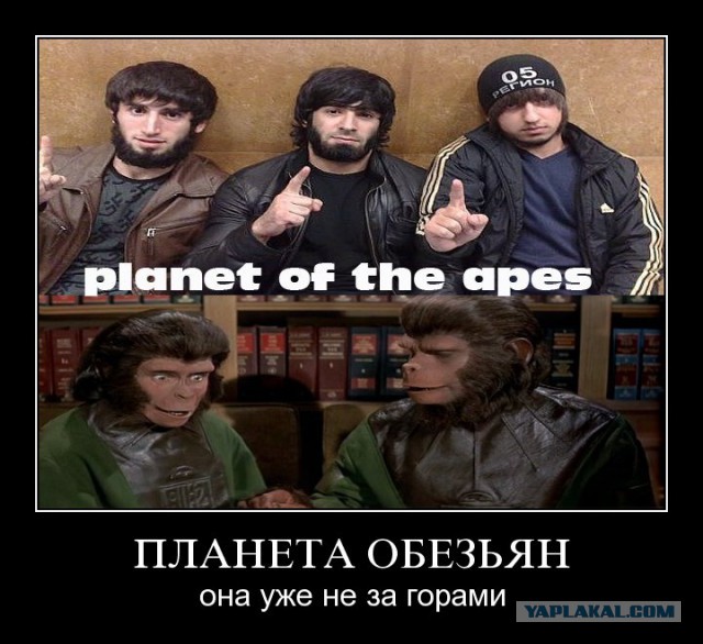 Убийцу Маши Федоровой освободили по амнистии
