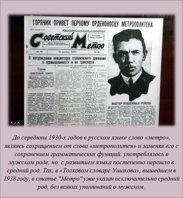 20 фактов обо всем