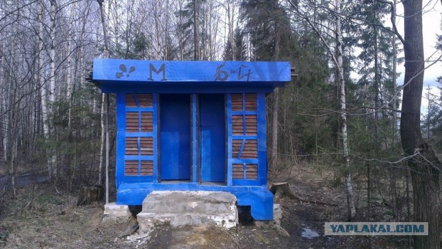 Забавные картинки из интернетов