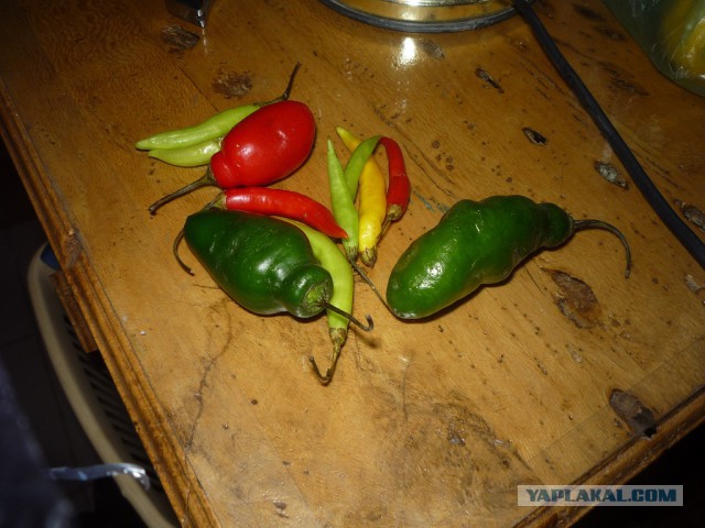 На рынках Южной Америки