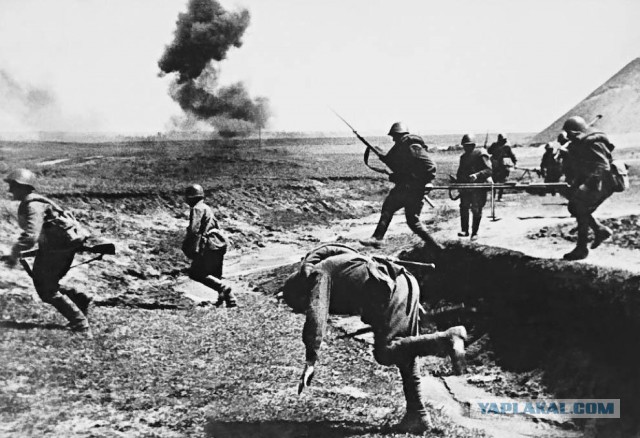 Самые трогательные фотографии войны
