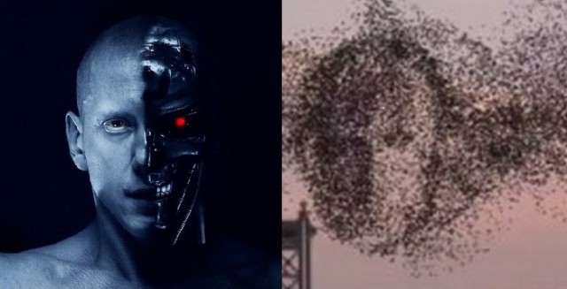 Чье лицо?