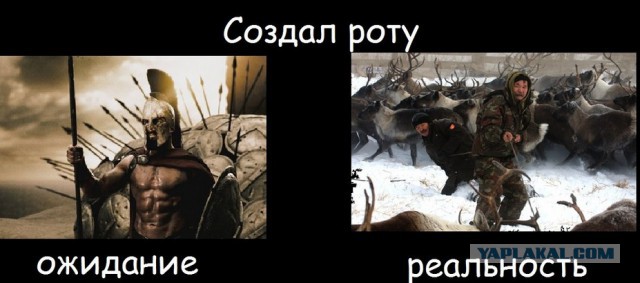 Чуть-чуть танков WoT