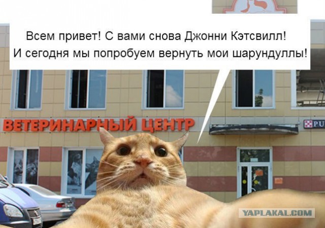 А давайте поговорим о жизни