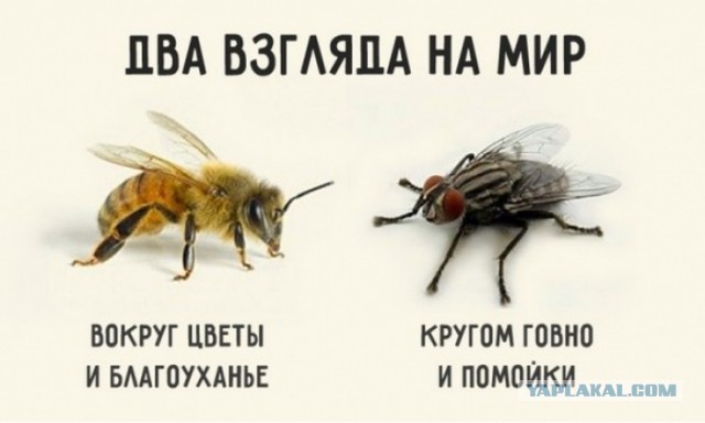 "Отсталая" Россия
