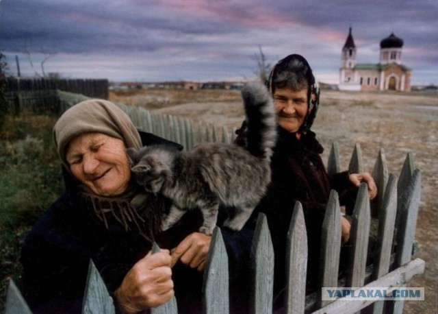 Картинки разные