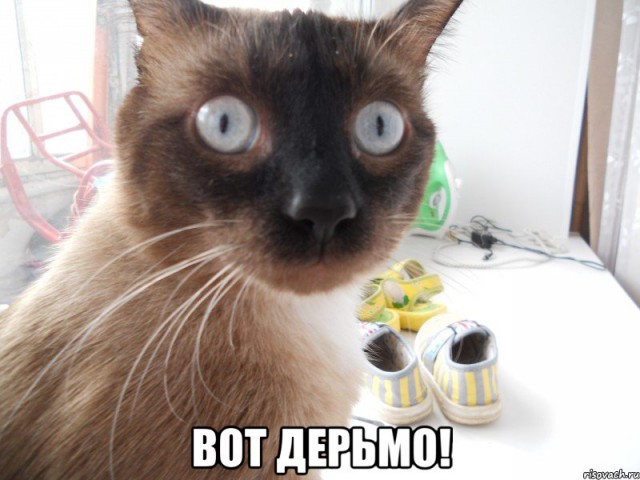 К деньгам наверное, или "дерьмо случается"