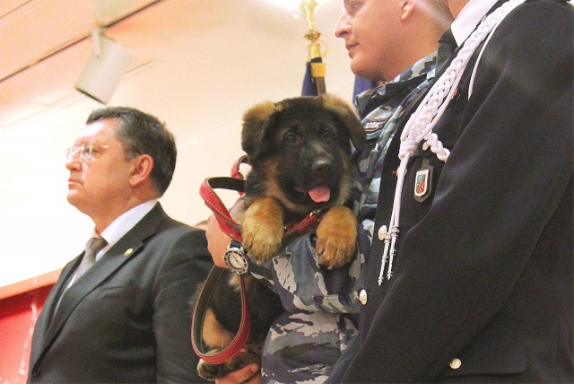 Во Франции забраковали собаку Добрыню, подаренную Россией