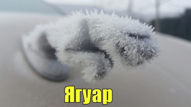 Приколы всякие