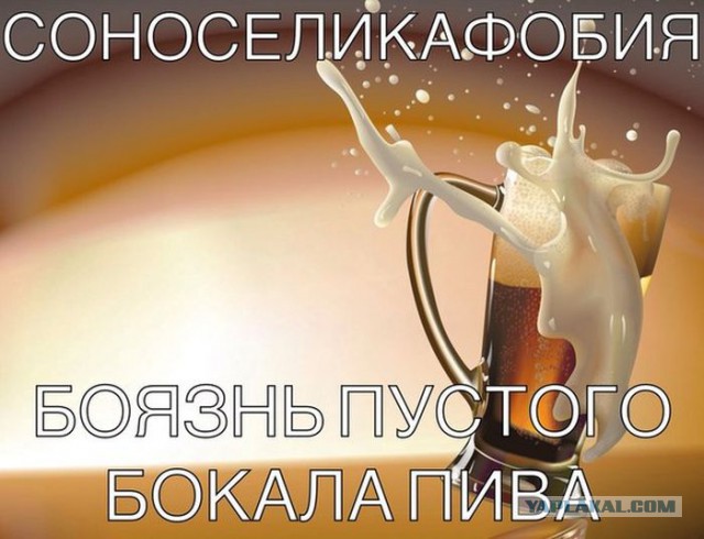 Алкоюмор