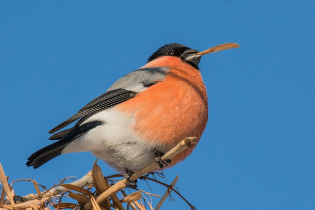 Моменты, запечатлённые на фото и просто позитив 5
