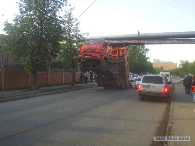 Встал на дыбы