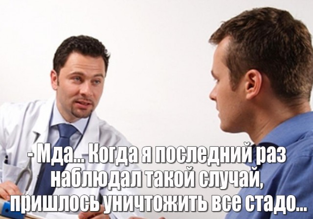 Немного веселых картинок для пятничного настроения