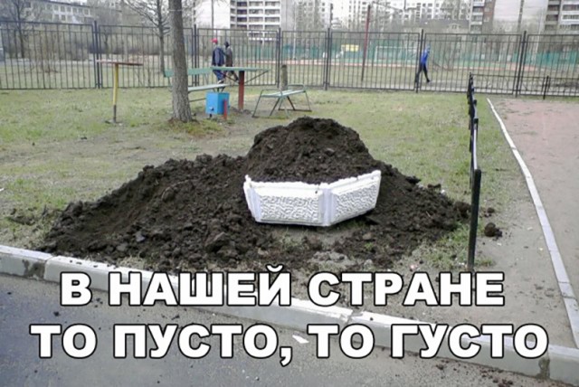 Прикольные картинки