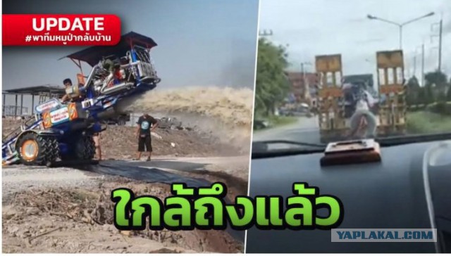 12 детей пропали в пещере Таиланда