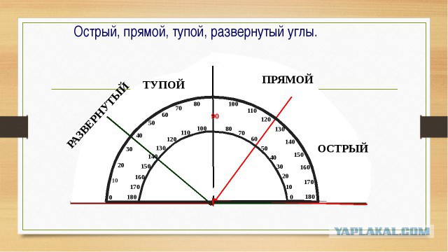 Сексуальная поза загорающей астанчанки смутила казахстанцев